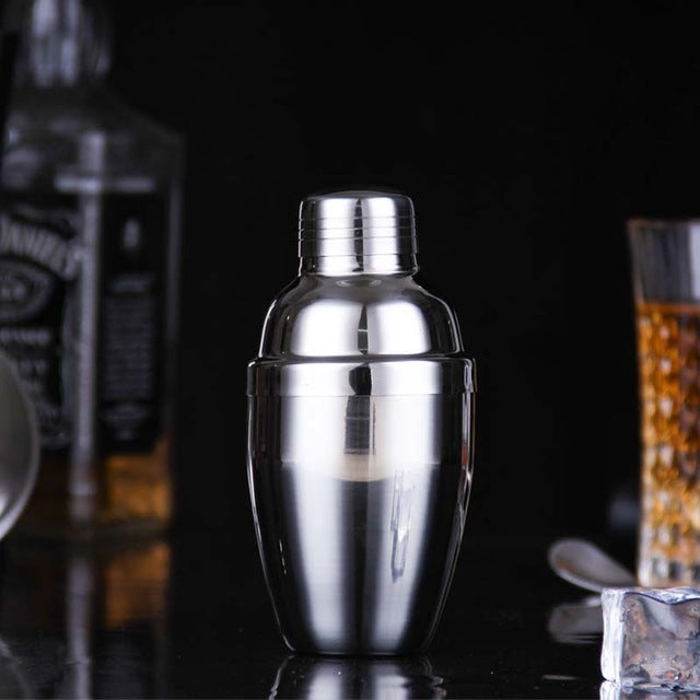 Stainless Steel Martini Cocktail Shakers