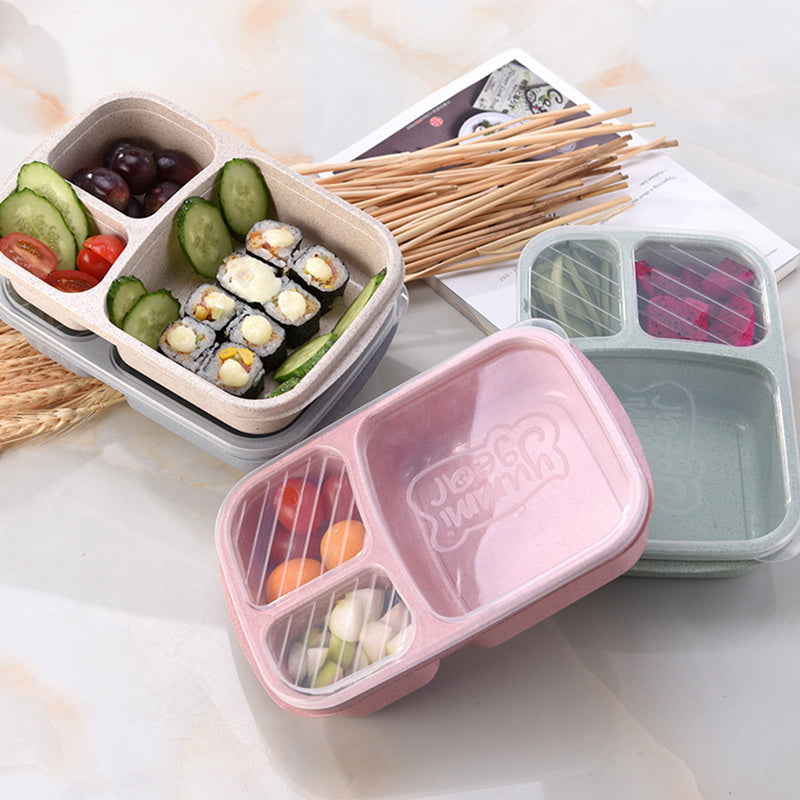 Plastic Food Lunch Boxes