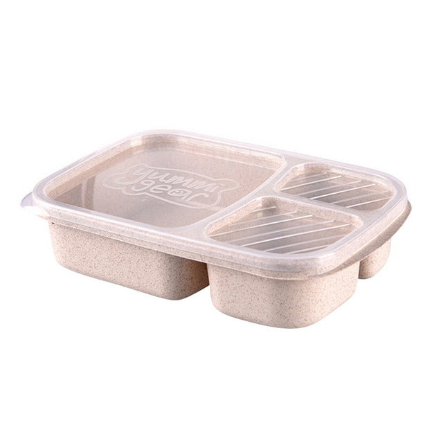 Plastic Food Lunch Boxes