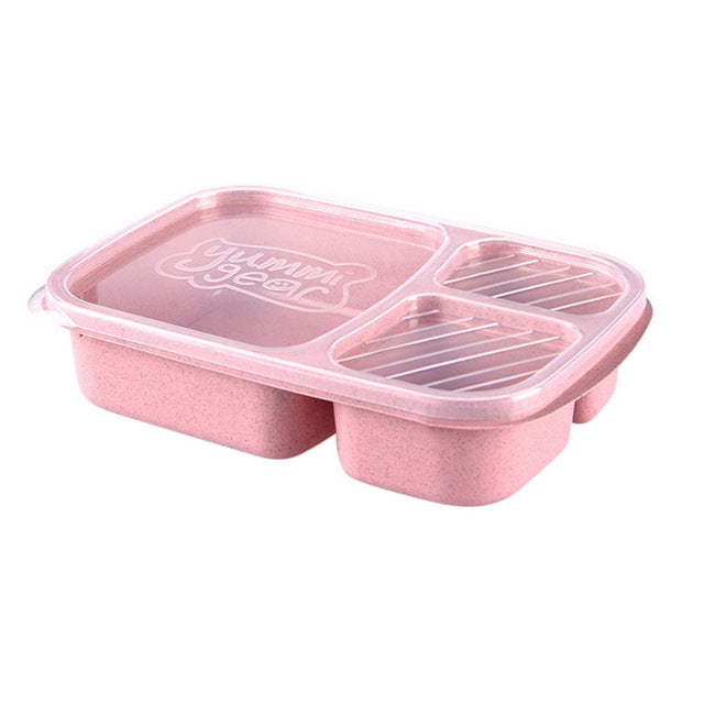 Plastic Food Lunch Boxes