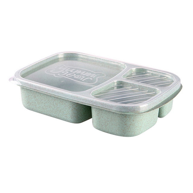 Plastic Food Lunch Boxes